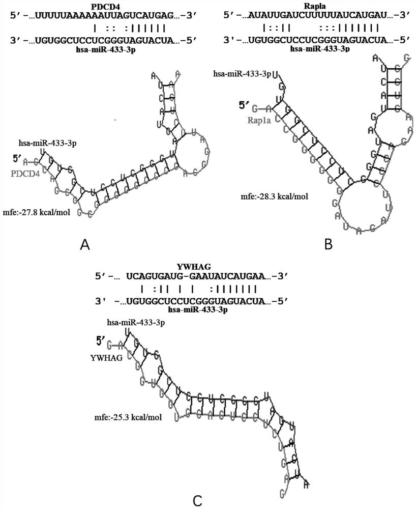 Biomarker of active pulmonary tuberculosis, and application of biomarker