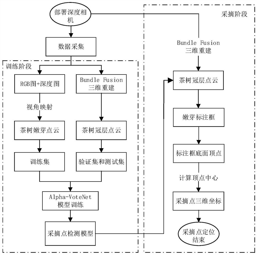 Picking point detection model construction method and picking point positioning method based on machine vision