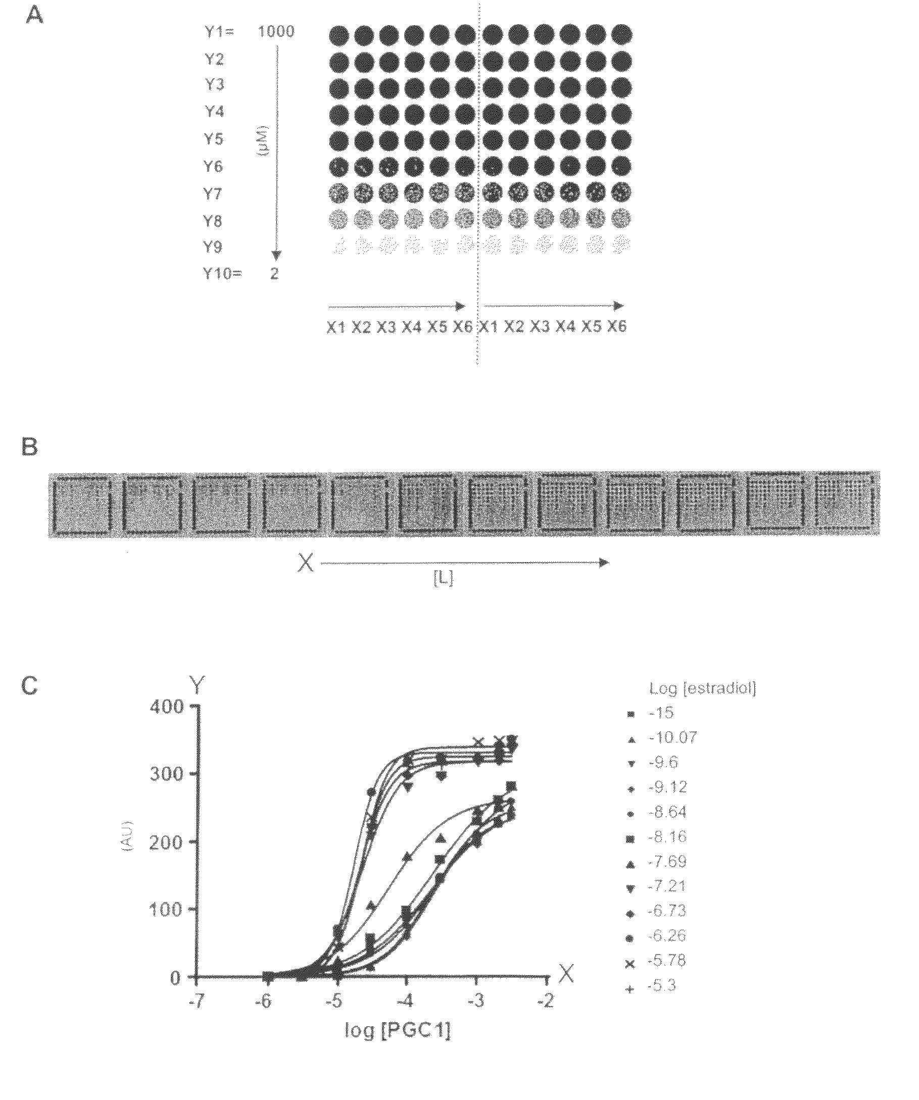 Nuclear receptor assay