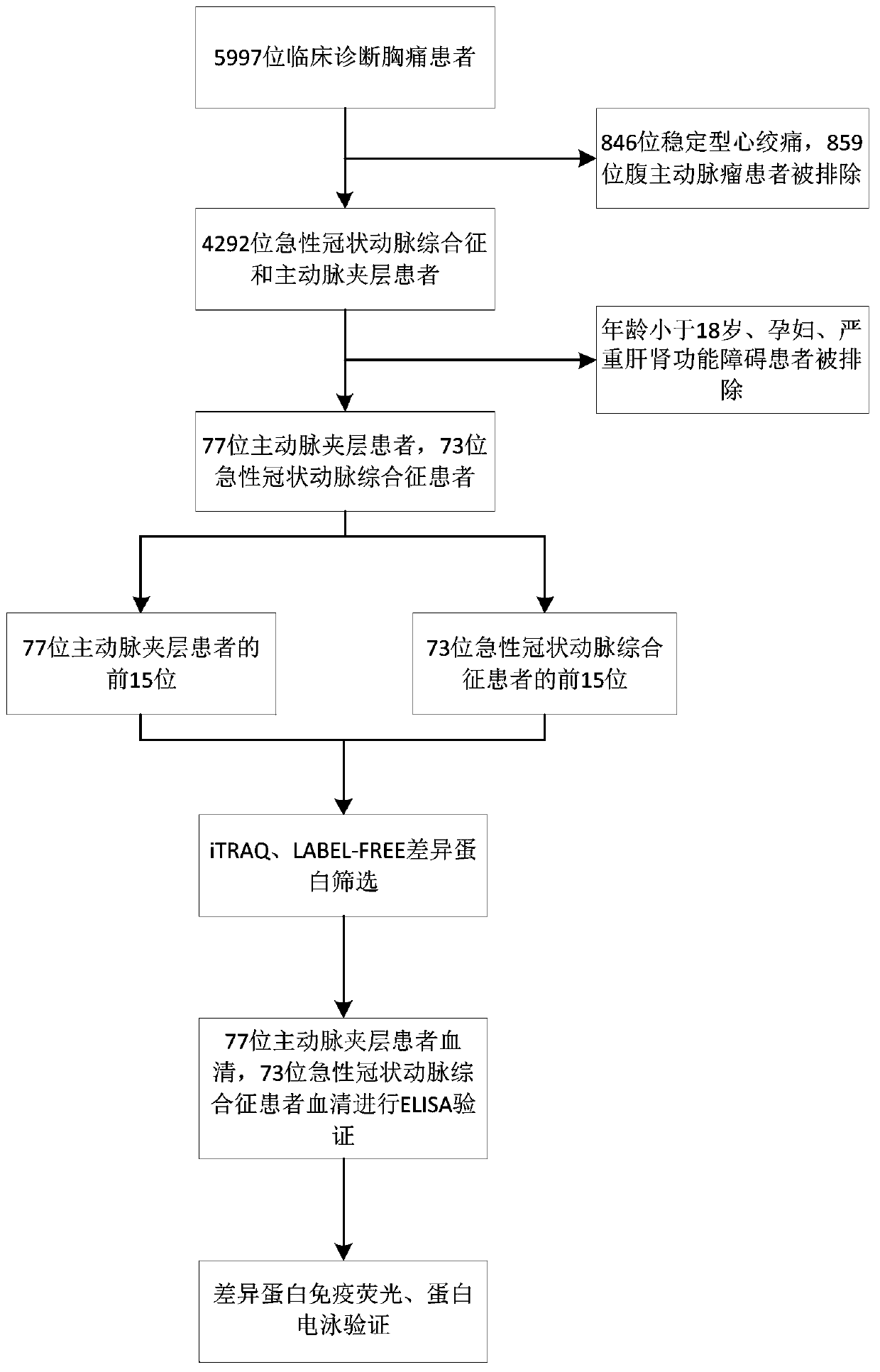 Diagnostic marker for aortic dissection and application thereof