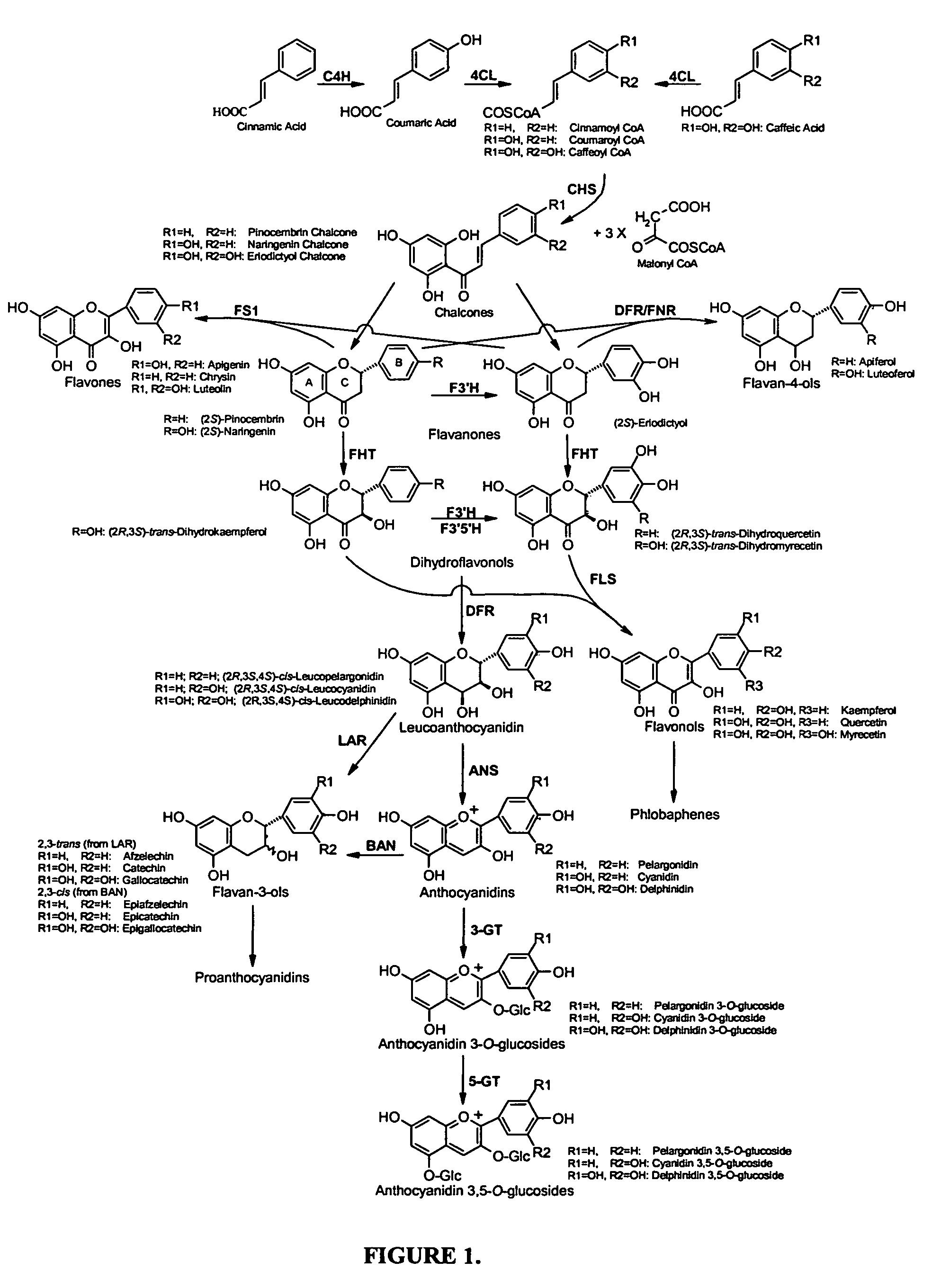 Production of flavonoids by recombinant microorganisms