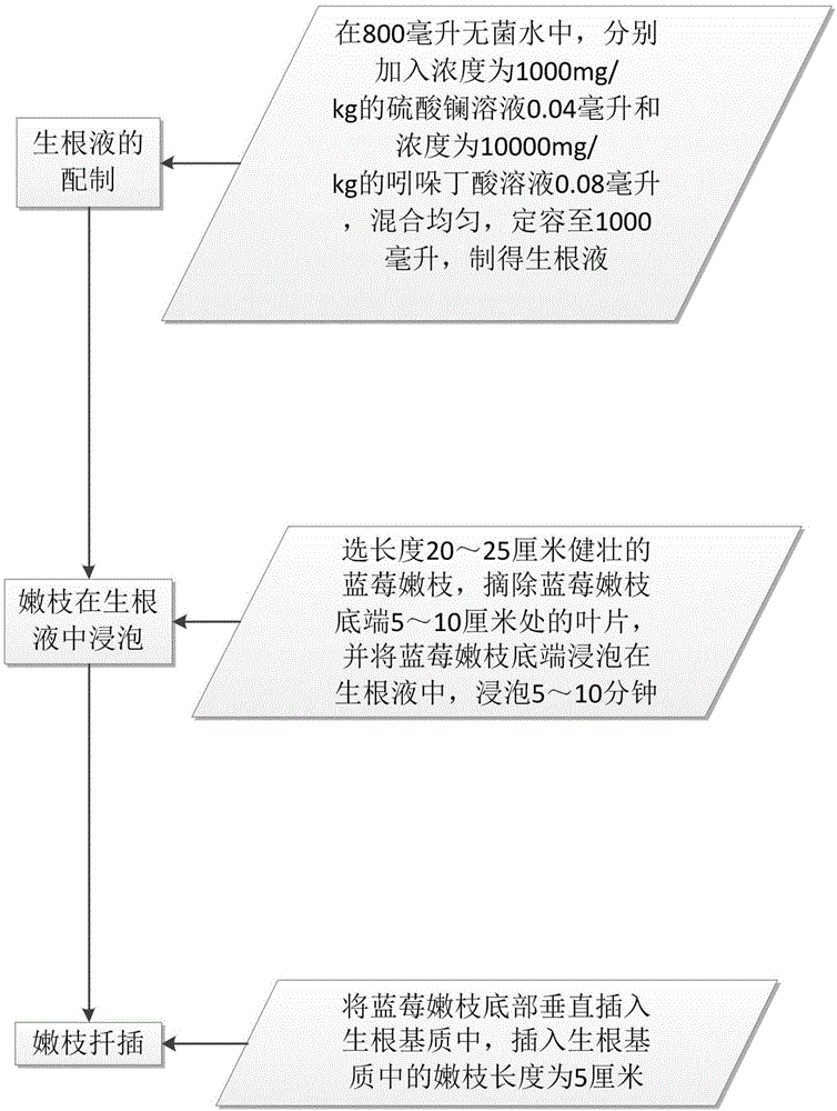 Blueberry cultivation method