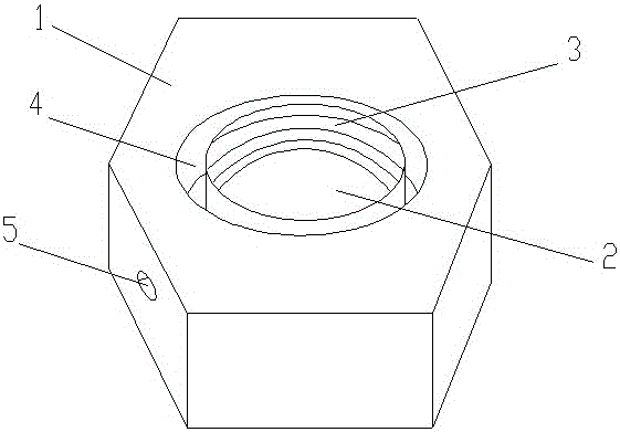 Water filter type nut