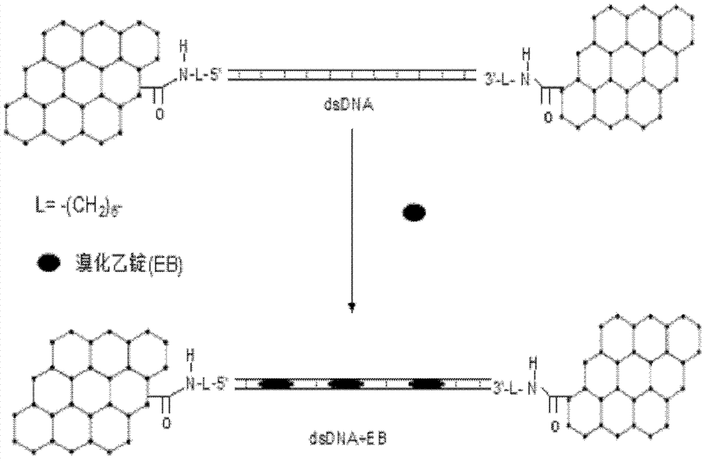 Method for detecting small organic biological molecules with graphene electrode-based molecular device