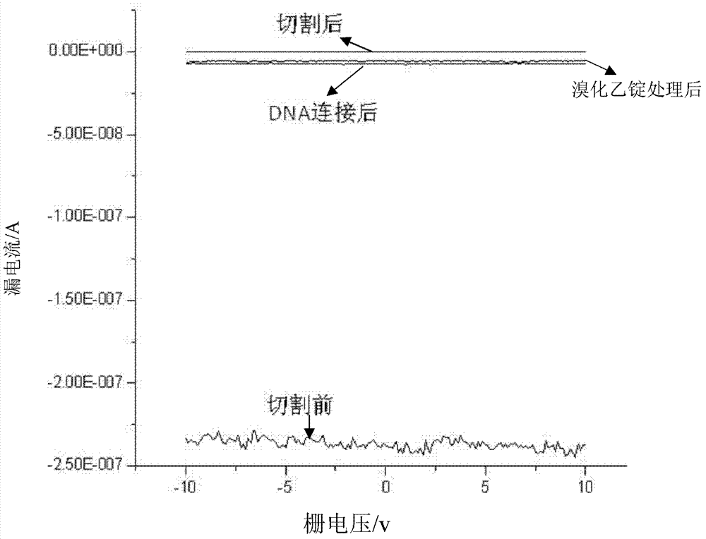 Method for detecting small organic biological molecules with graphene electrode-based molecular device