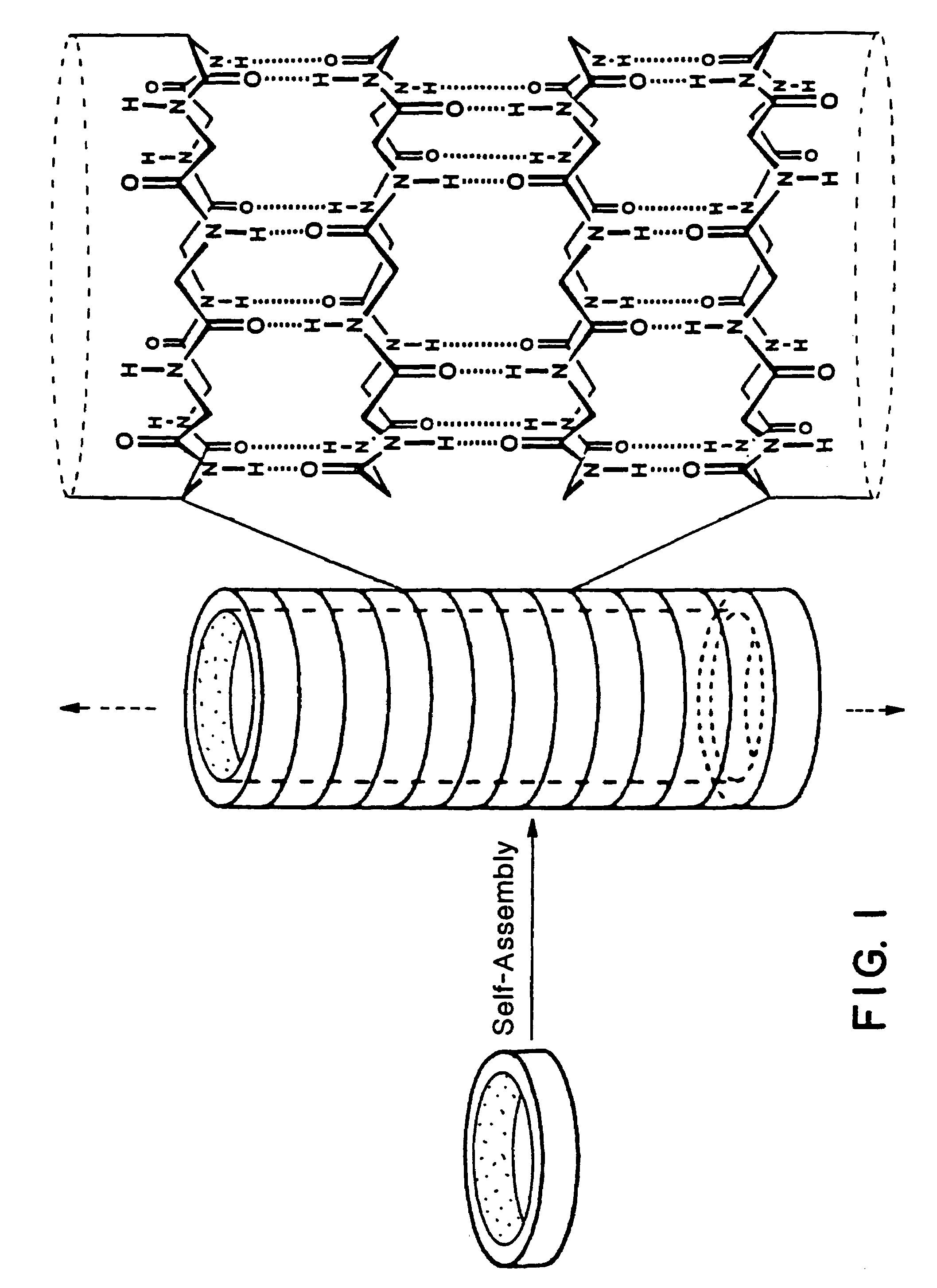 Cyclic peptide tube