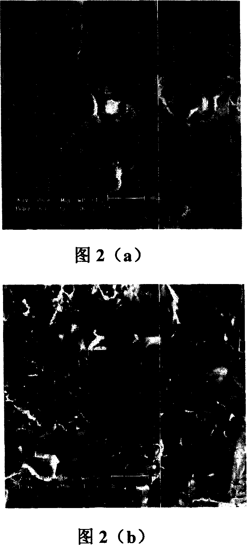 Novel process of the high temperature reduction and detoxication of industrial chromic slag