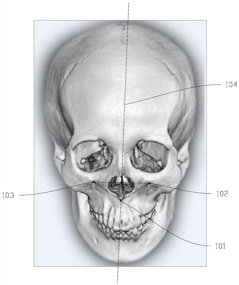 Human skeleton modeling method, storage medium and electronic equipment