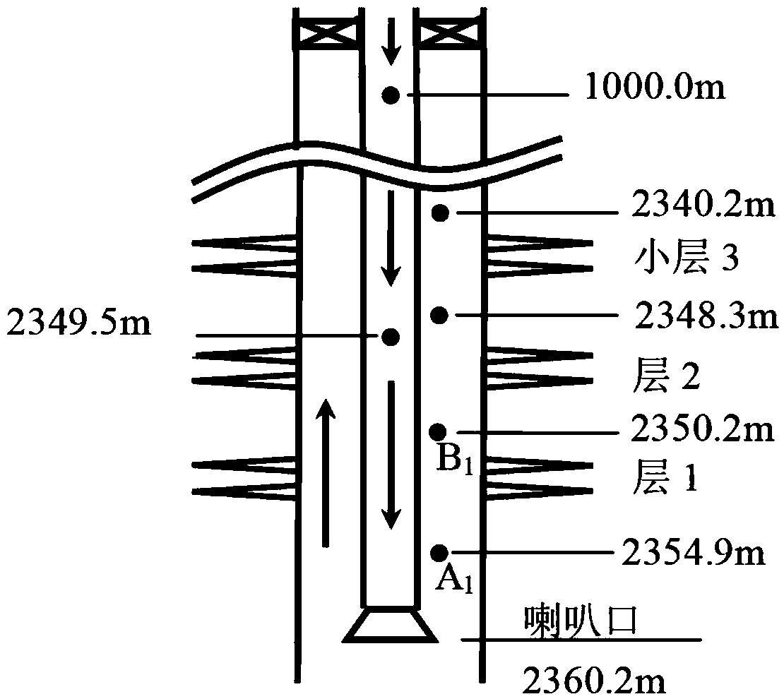 CO2 drive flow rate monitoring method