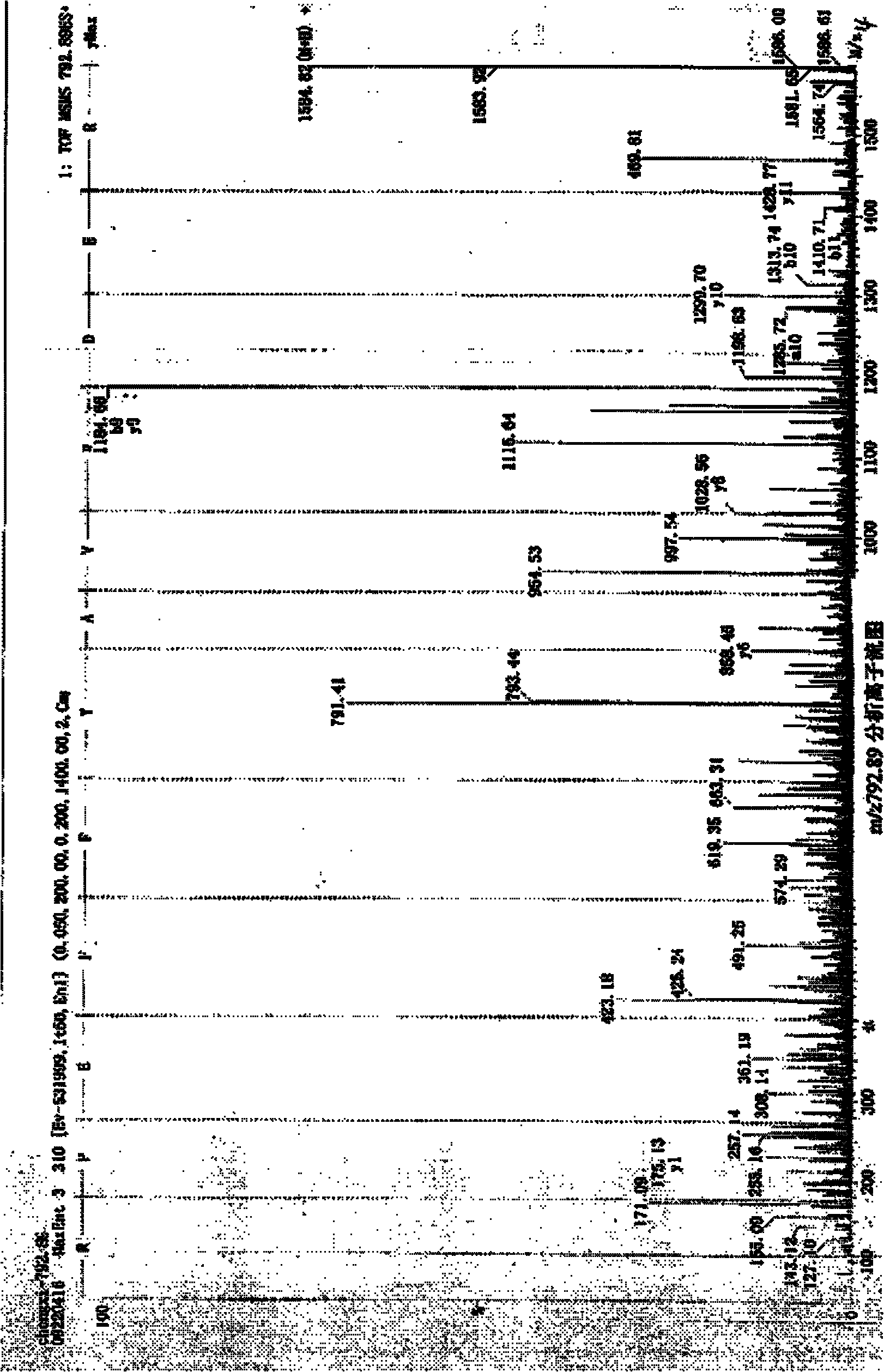 Bone peptide composition, preparation thereof, preparation method thereof and application