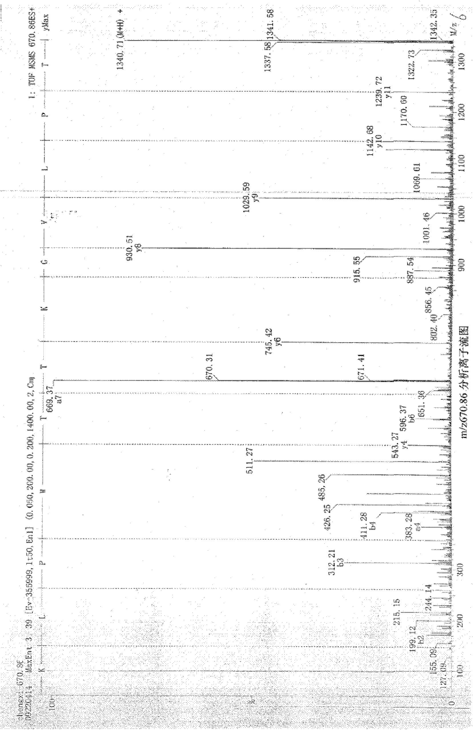 Bone peptide composition, preparation thereof, preparation method thereof and application