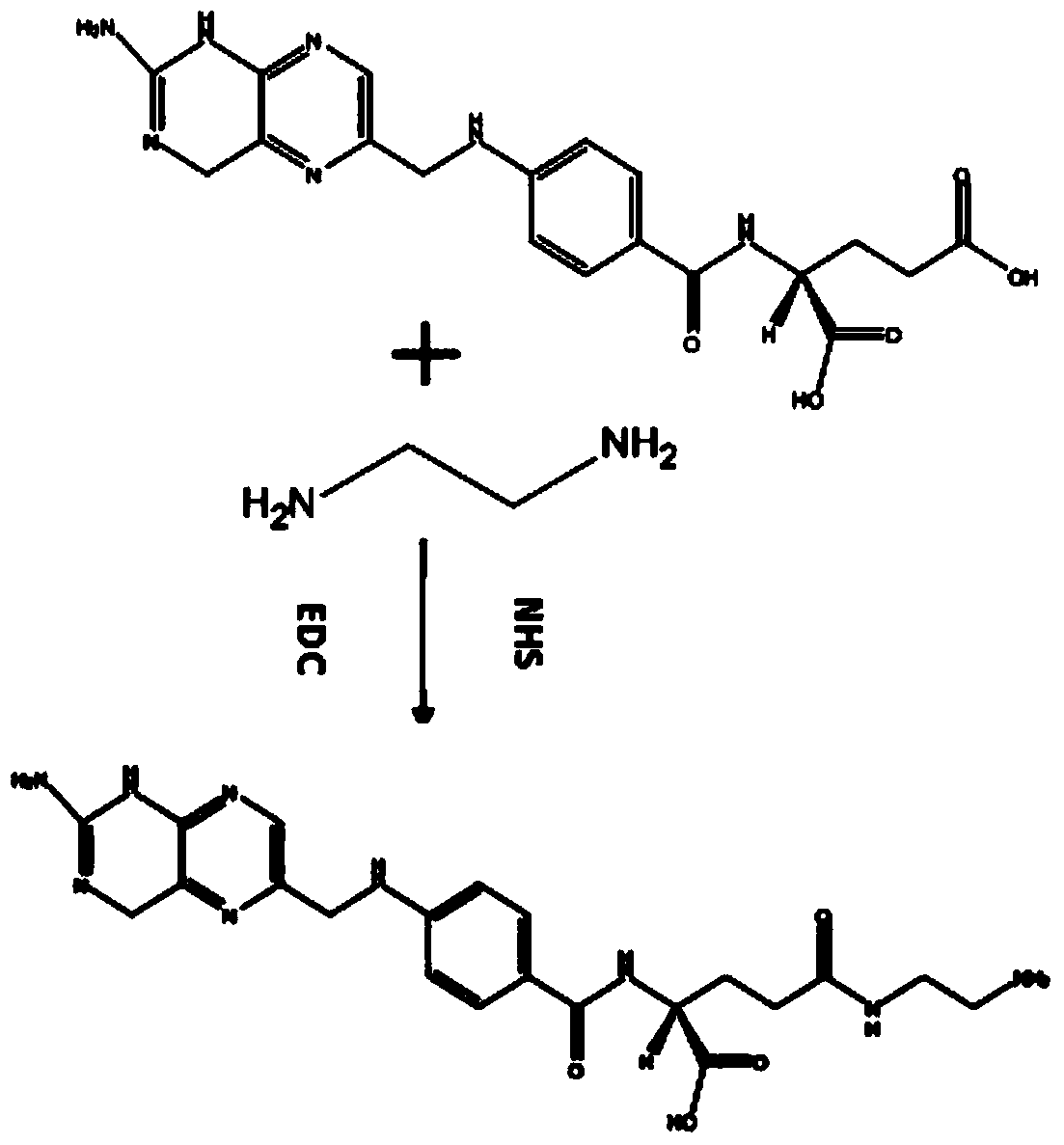 An environment-responsive tumor-targeted drug delivery system