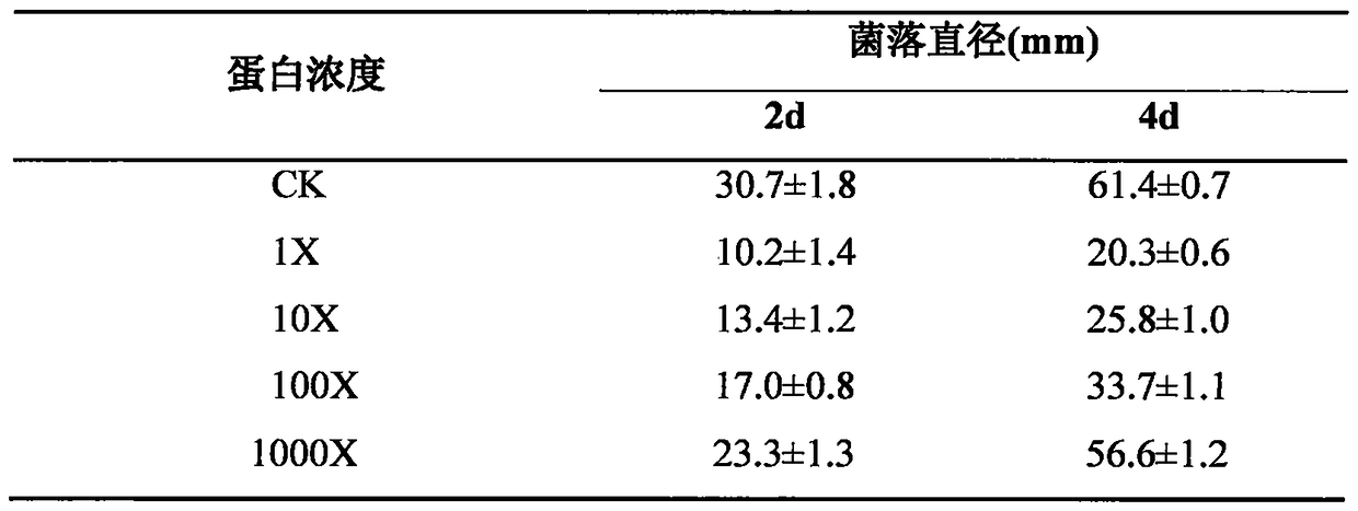 Preparation and New Application of Penicillin Binding Protein Antibacterial Agent