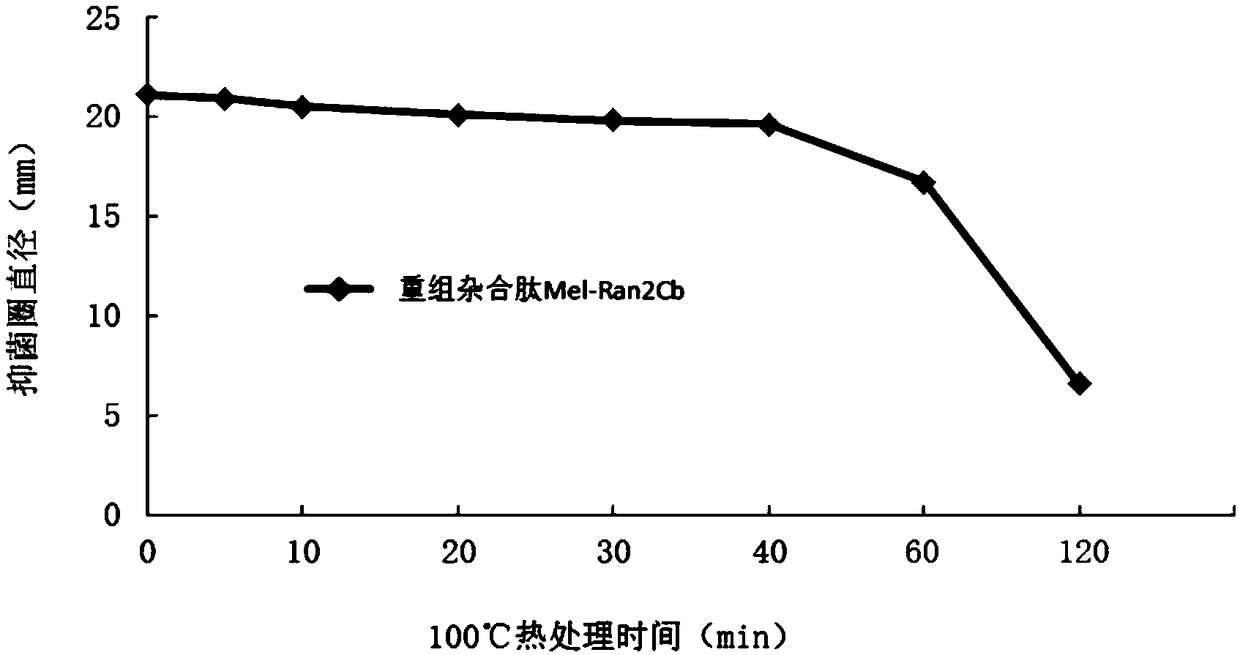 Hybrid peptide and application thereof in bacteriostasis