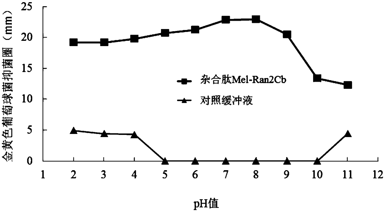 Hybrid peptide and application thereof in bacteriostasis