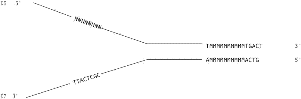 Method for detecting DNA variation level by using polymolecular tags