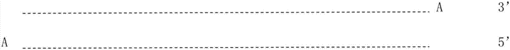 Method for detecting DNA variation level by using polymolecular tags