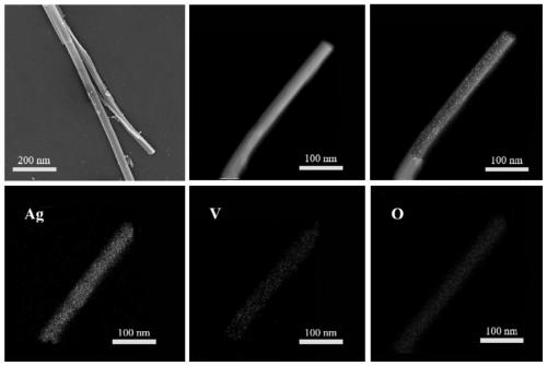 Silver vanadate, preparation method thereof and application of silver vanadate in detection of uric acid as peroxidase-like enzyme