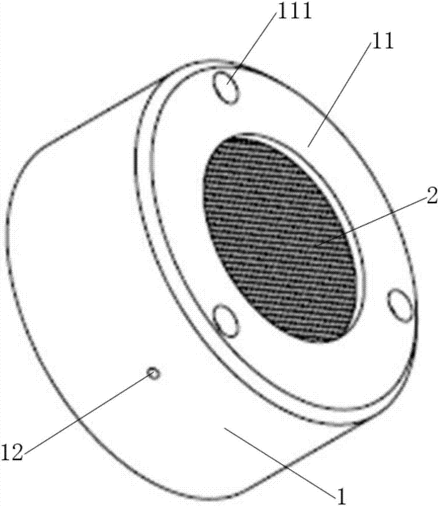 Laser sensing probe and filter mesh enclosure thereof