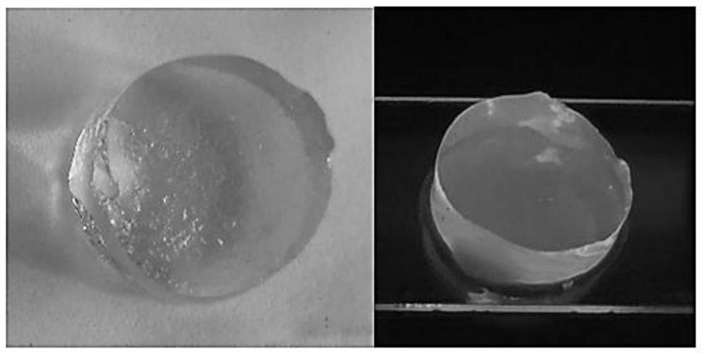 Fluorescent molecular monomer and its preparation method, aggregation-induced luminescence hydrogel, its preparation method and application