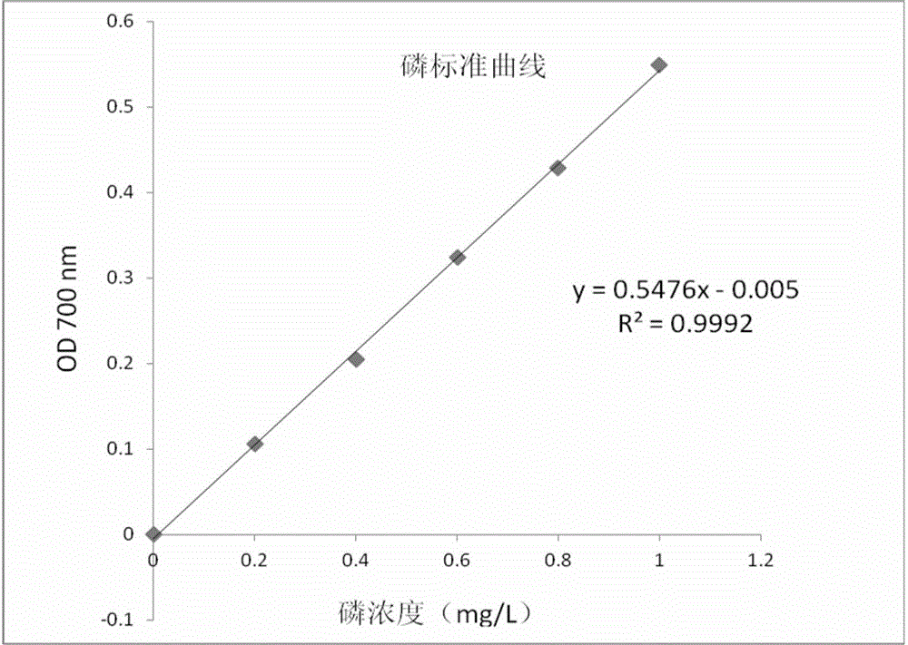 Aspergillus niger strain and application thereof