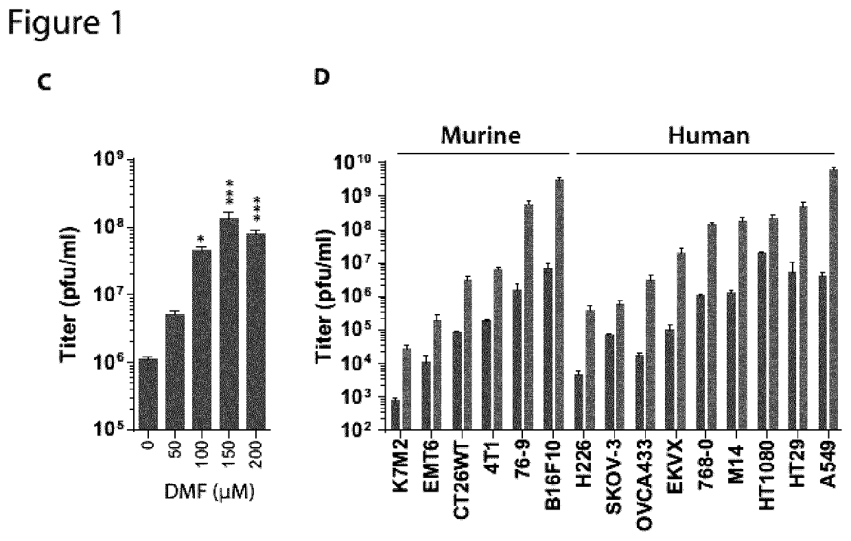 Compositions And Methods for Enhancing Production, Growth, Spread, or Oncolytic and Immunotherapeutic Efficacy of Interferon-Sensitive Viruses