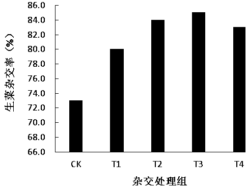 Optimized lettuce hybridization method