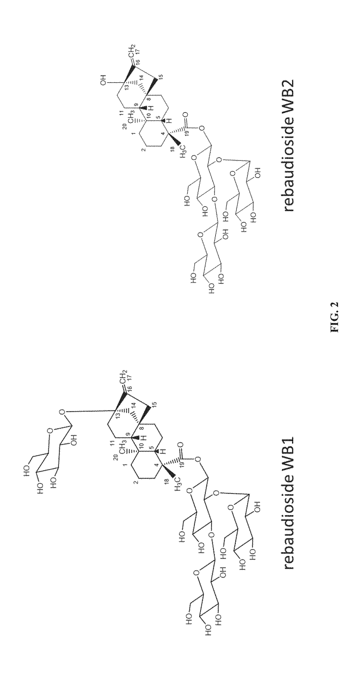 Biosynthetic production of steviol glycosides and processes therefore