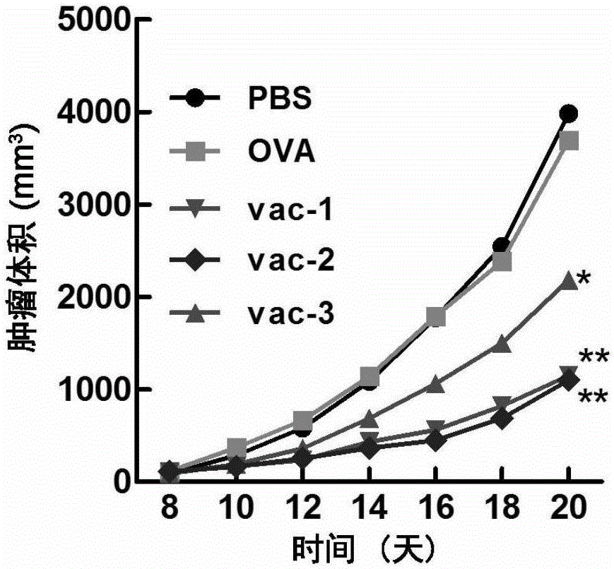 Short chain polypeptide, application thereof as vaccine adjuvant and vaccine with short chain polypeptide serving as adjuvant