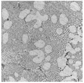 Rare earth element erbium-modified cast hypoeutectic Al-Mg2Si alloy and preparation method thereof