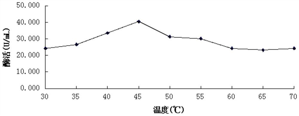 A kind of endophytic fungus Aspergillus rubrum and its application