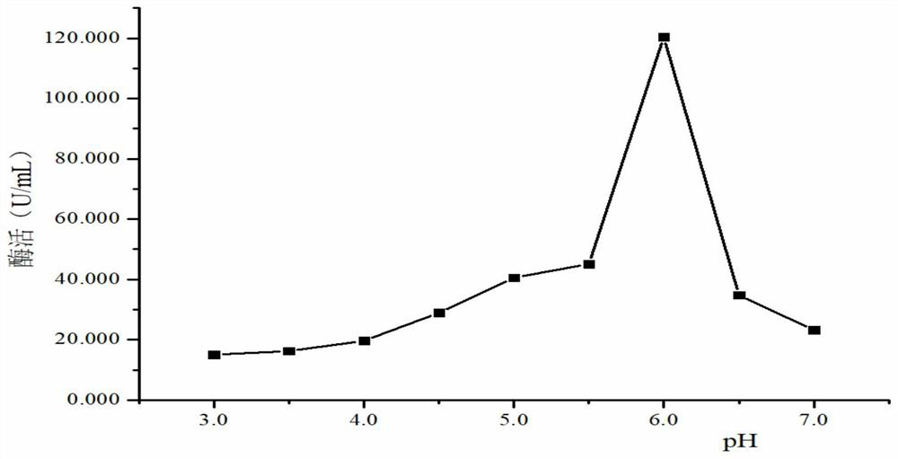 A kind of endophytic fungus Aspergillus rubrum and its application