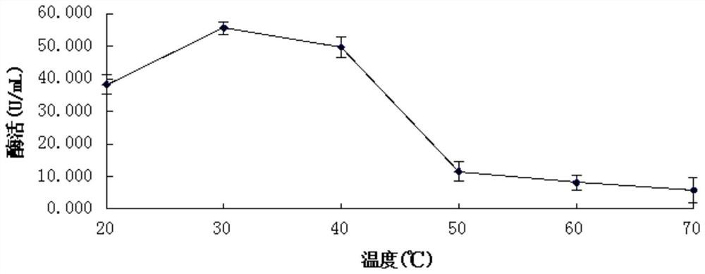 A kind of endophytic fungus Aspergillus rubrum and its application