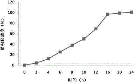 Posaconazole double-layer osmotic pump controlled release tablet and preparation method thereof