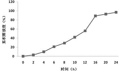 Posaconazole double-layer osmotic pump controlled release tablet and preparation method thereof