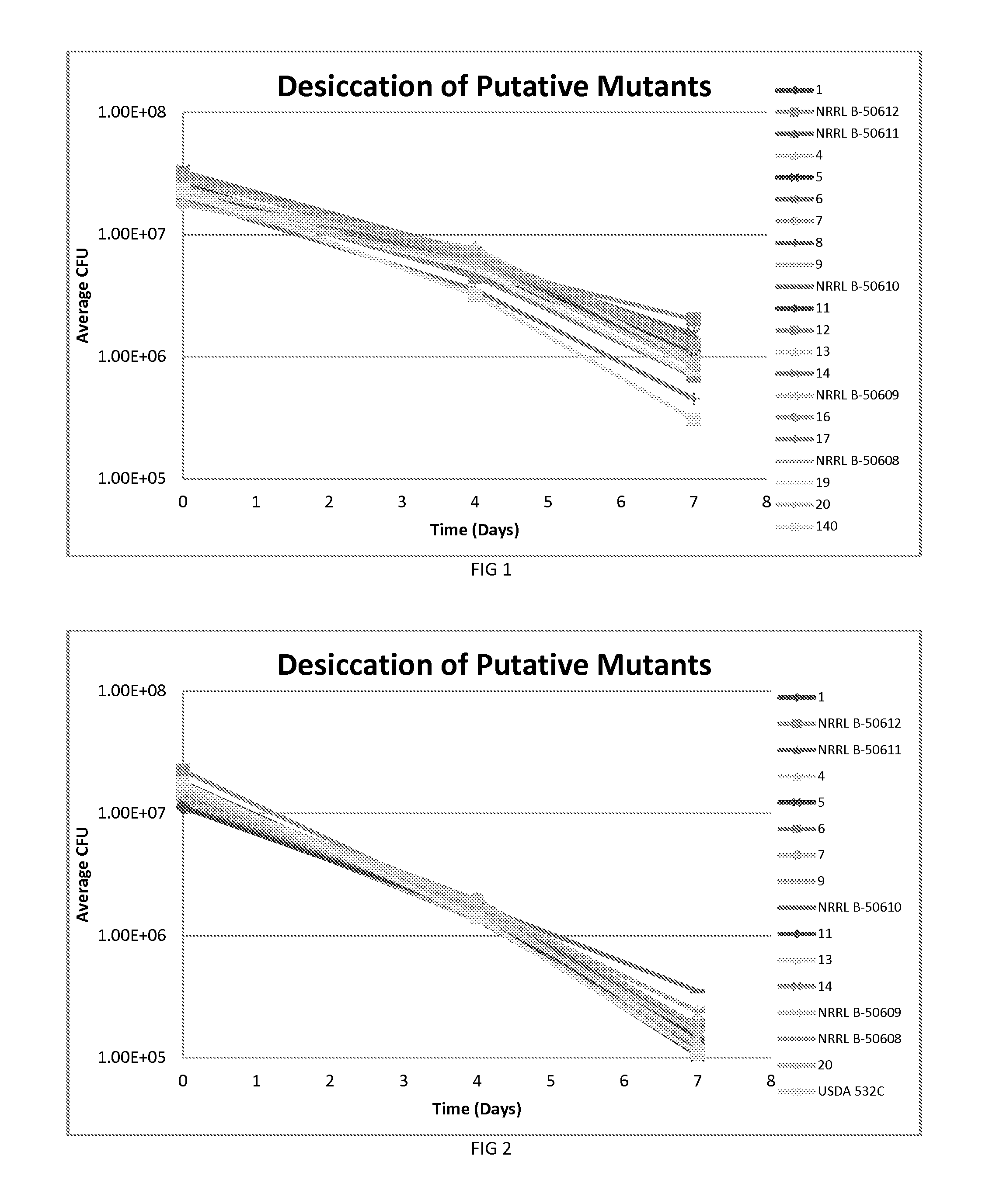 Bradyrhizobium strains