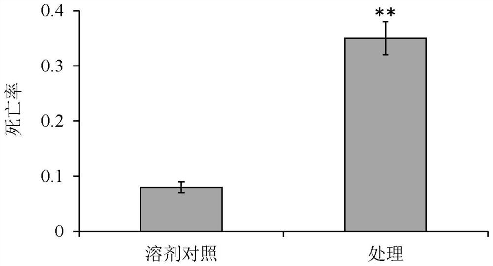 Application of glucosinolate in preparation of product for preventing and treating narrowleaf knotweed herb and insect-resistant breeding