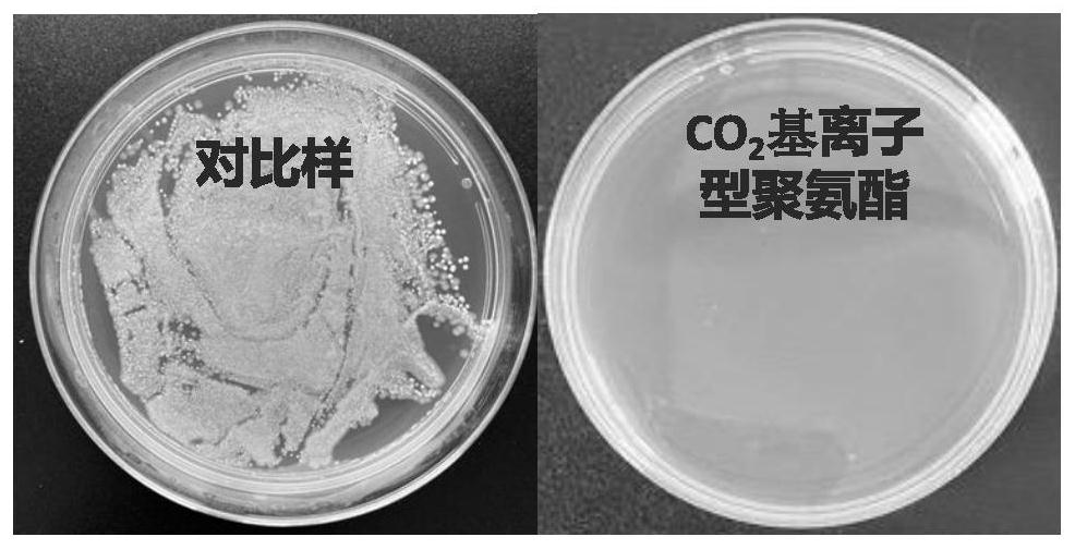 Carbon dioxide-based ionic antibacterial polyurethane as well as preparation method and application thereof