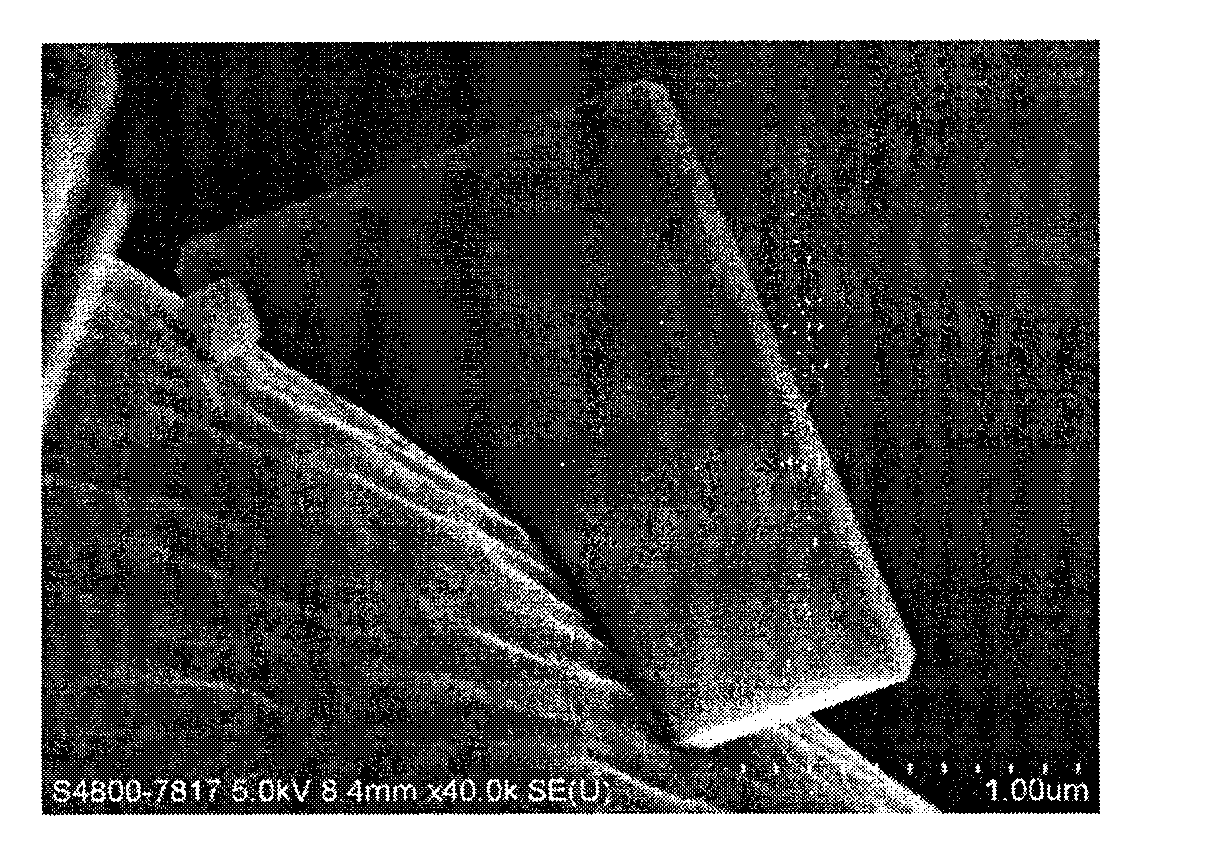 Preparation method of carbon fiber loaded titanium dioxide nanometer sheet