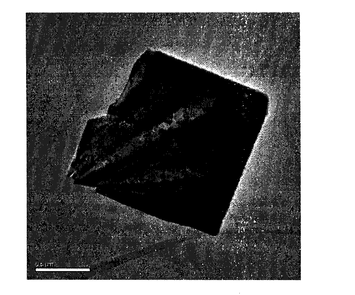 Preparation method of carbon fiber loaded titanium dioxide nanometer sheet