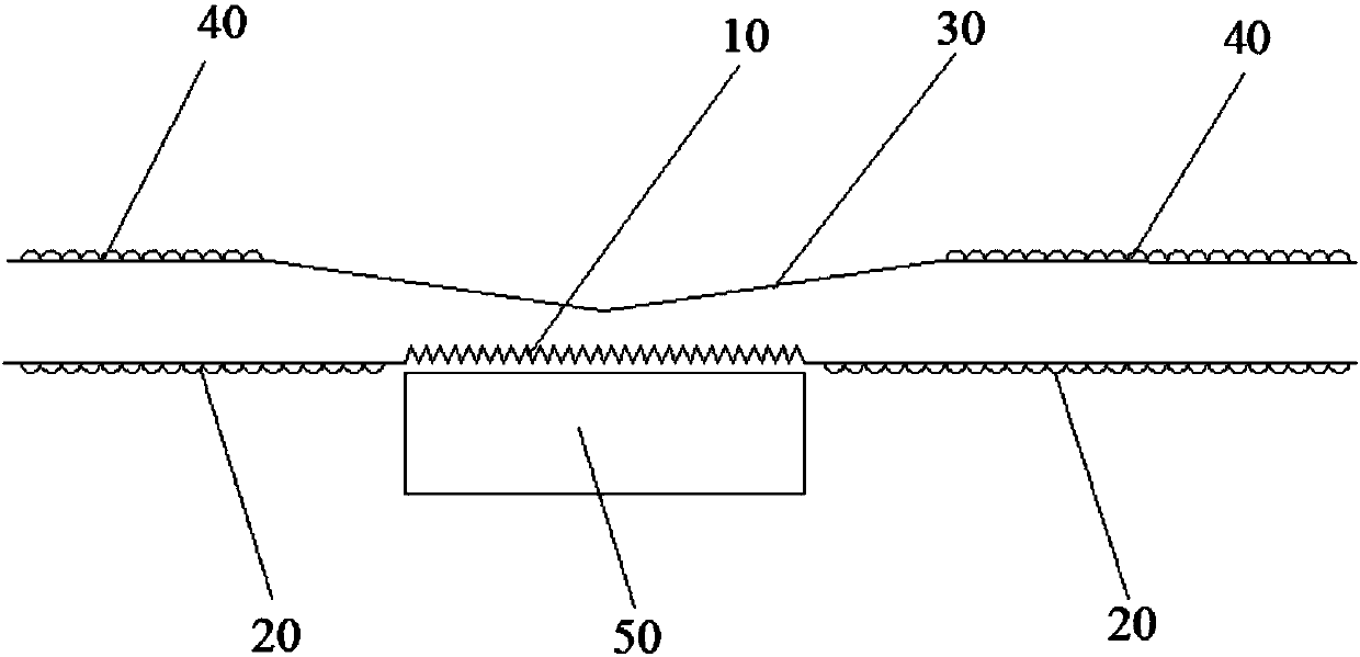 Light transmission plate and panel lamp