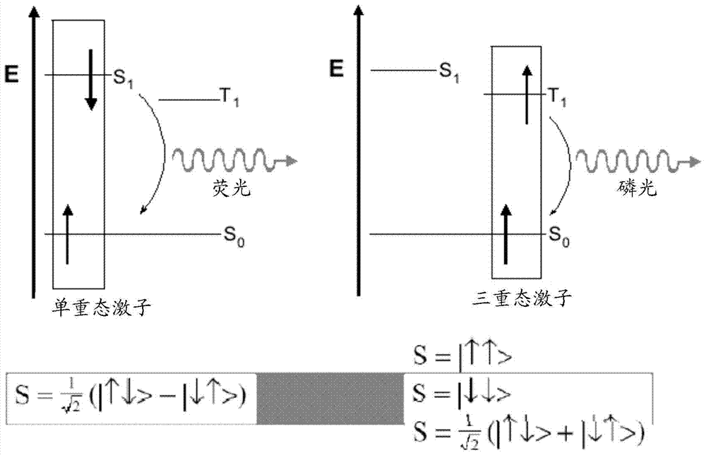 Metal complex, preparation method and use thereof, display device