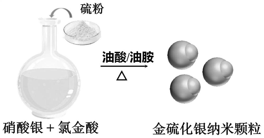 Gold silver sulfide protein composite hydrogel and preparation method and application thereof