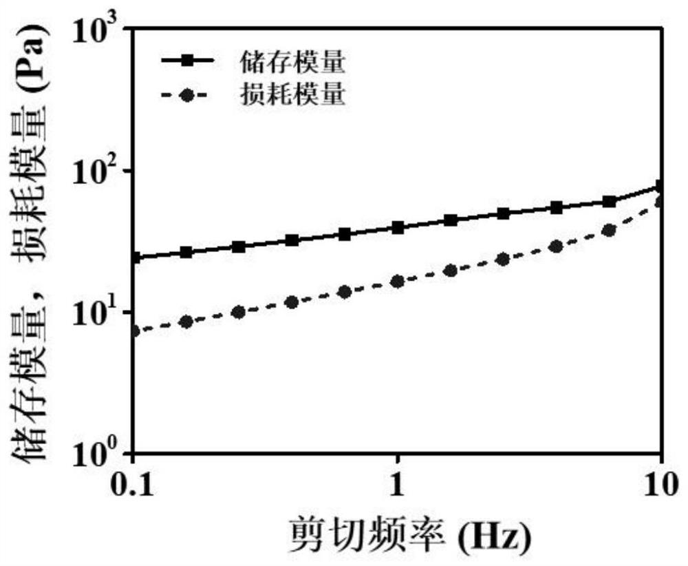 Gold silver sulfide protein composite hydrogel and preparation method and application thereof