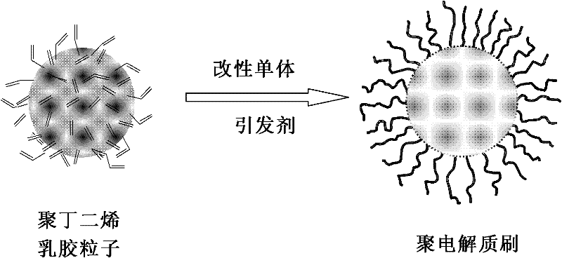 Method for preparing nano spherical polyelectrolyte brush