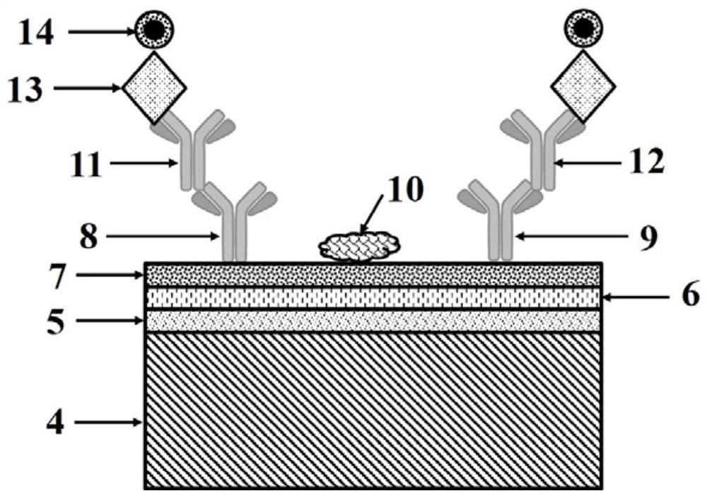 Tunneling magnetoresistive biosensor and preparation method and application thereof