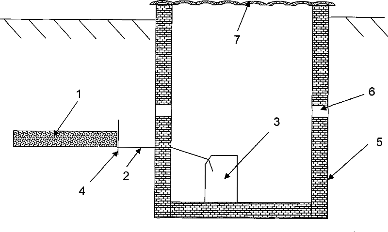 Soil eluviation in situ detection method