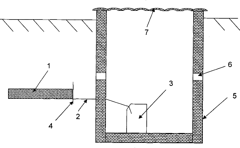 Soil eluviation in situ detection method