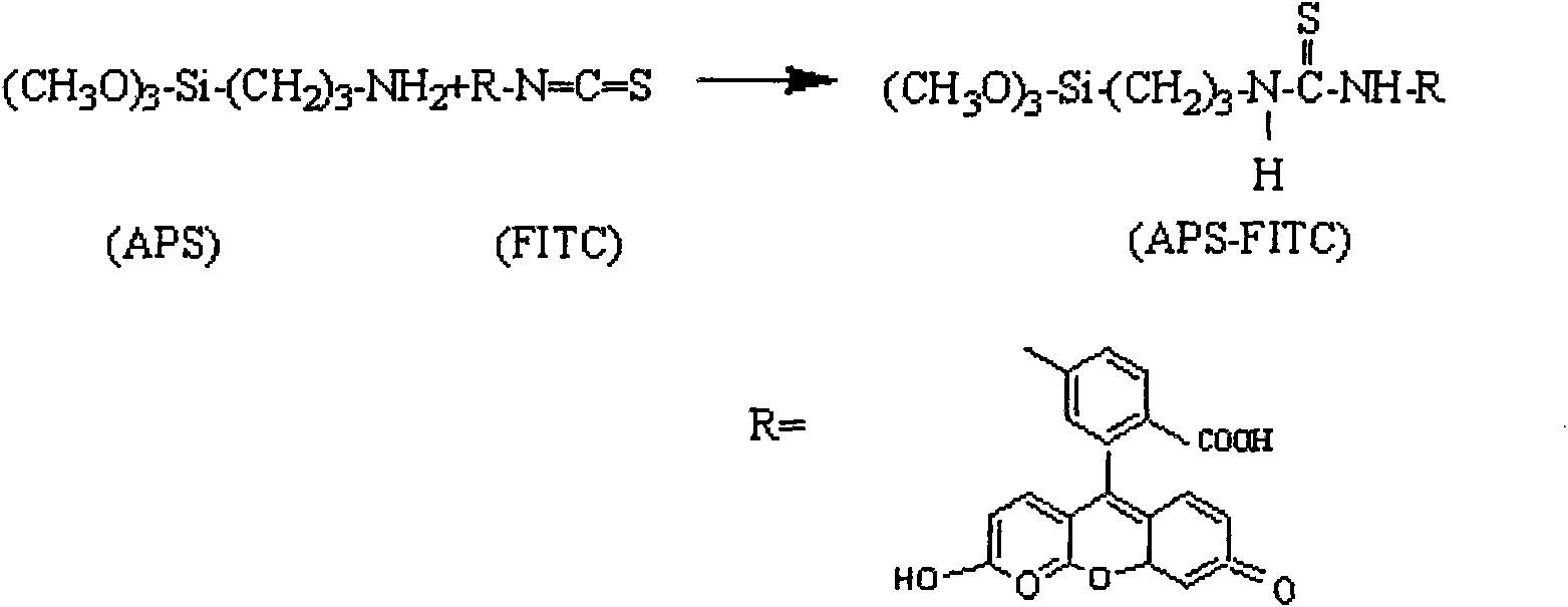 Fluorescent nanometer composite particle, preparation method and application thereof