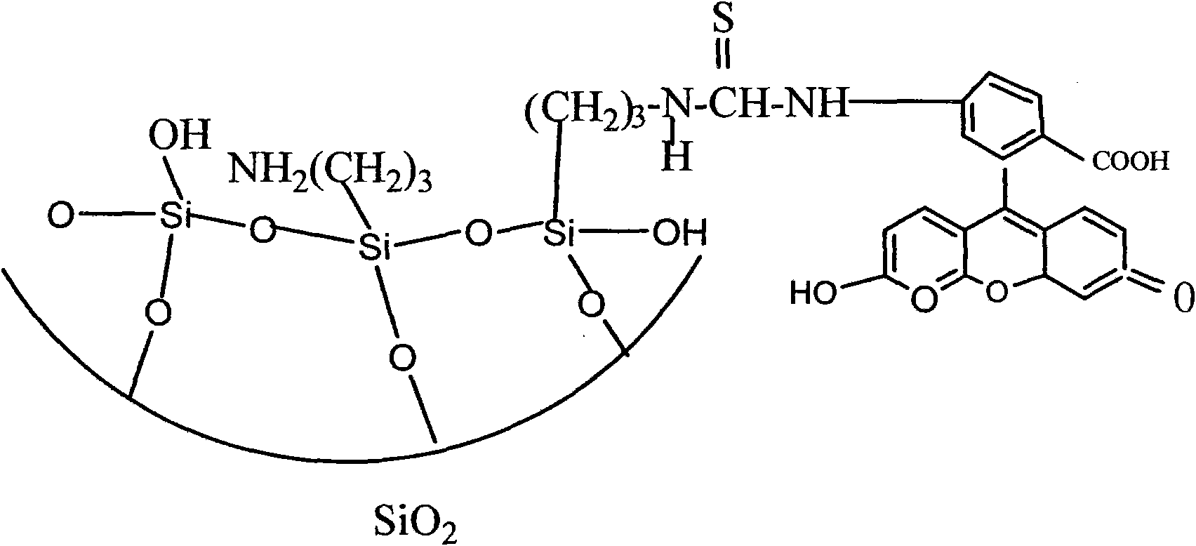 Fluorescent nanometer composite particle, preparation method and application thereof